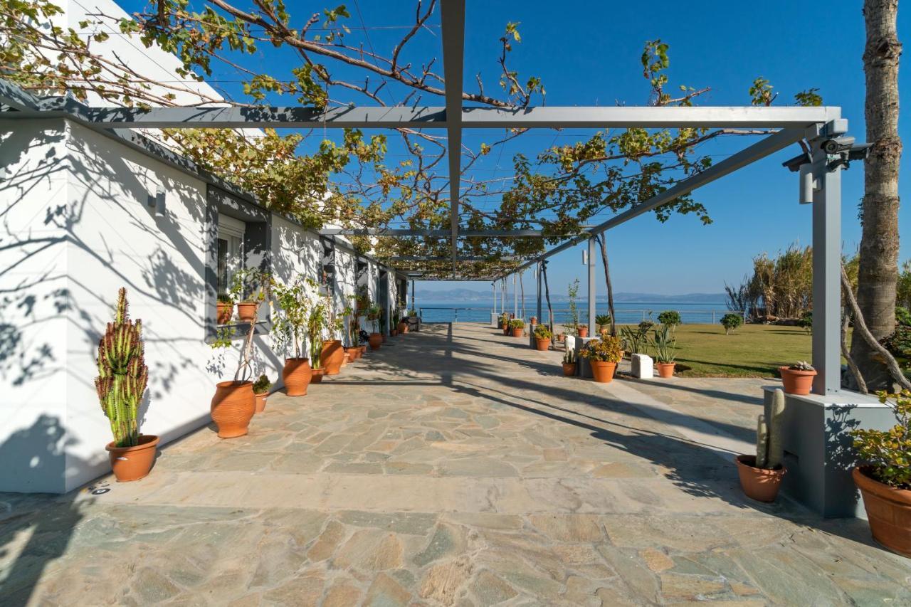 Seaside Private Beach Paradise 科斯镇 外观 照片